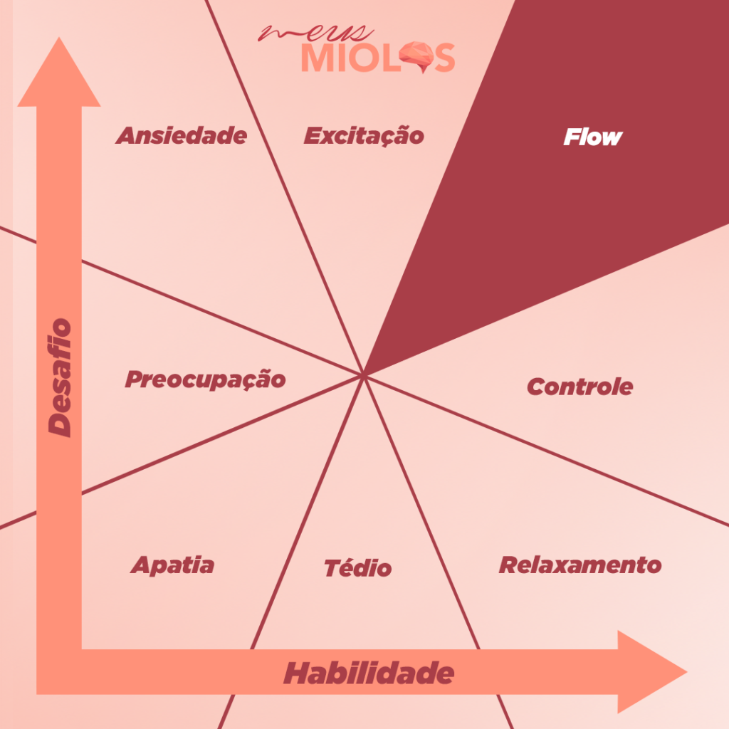 Flow ou Estado de Fluxo | Meus Miolos