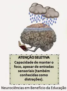 atenção seletiva